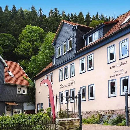 Ferienwohnung, Friedrichroda, Cleaning Included *